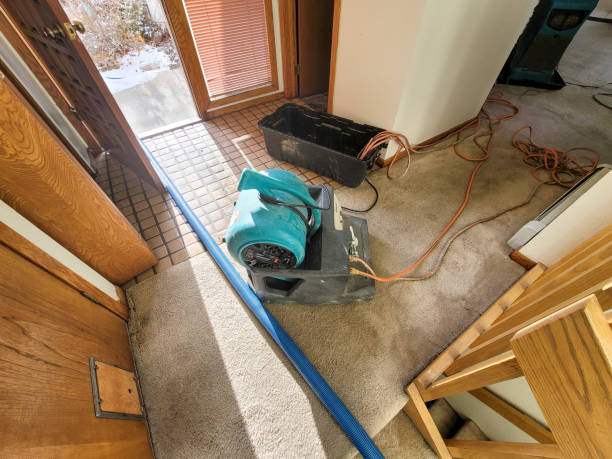 Best Residential Water Damage Restoration in Bernalillo, NM