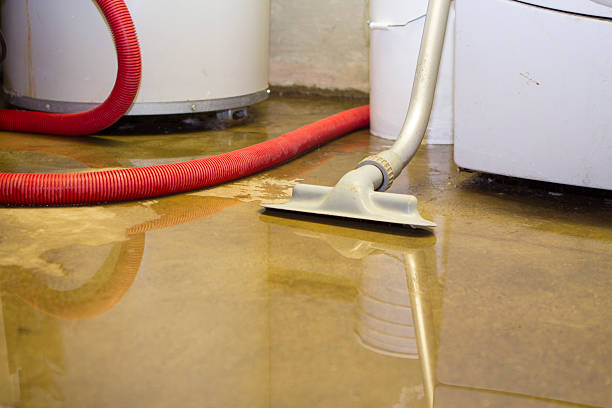 Best Flood Cleanup and Water Removal in Bernalillo, NM