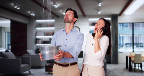 Best Emergency Water Extraction Services in Bernalillo, NM